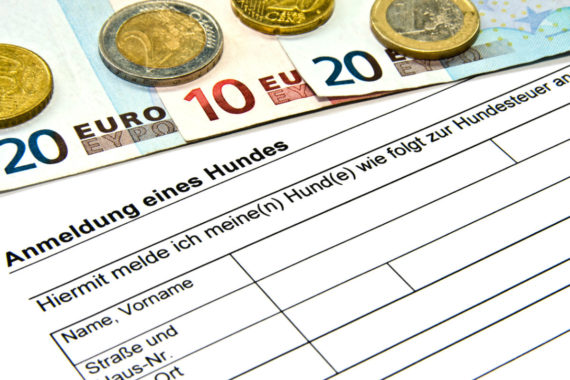 Bei Hundesteuerkontrollen droht ein hohes Bußgeld (Foto: Thorben Wengert / Pixelio.de)