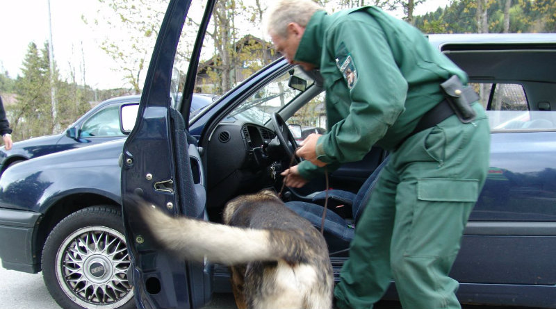 Drogenspürhund - Symbolbild Polizeiarbeit (Foto: Polizei)