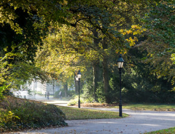 Der Würzburger Ringpark (Foto: wuerzburg24.com)