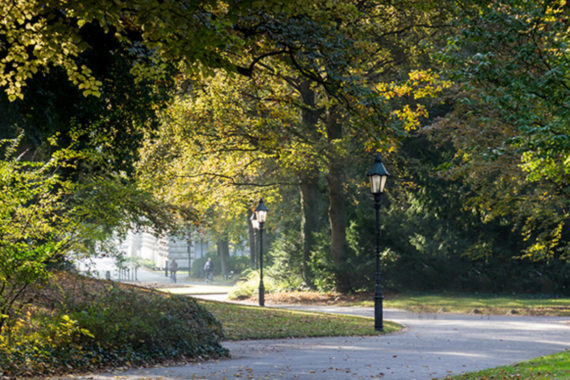 Der Würzburger Ringpark (Foto: wuerzburg24.com)