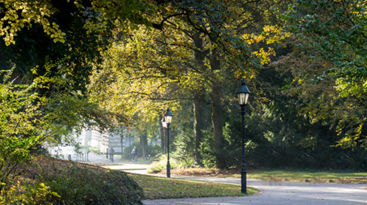 Der Würzburger Ringpark (Foto: wuerzburg24.com)