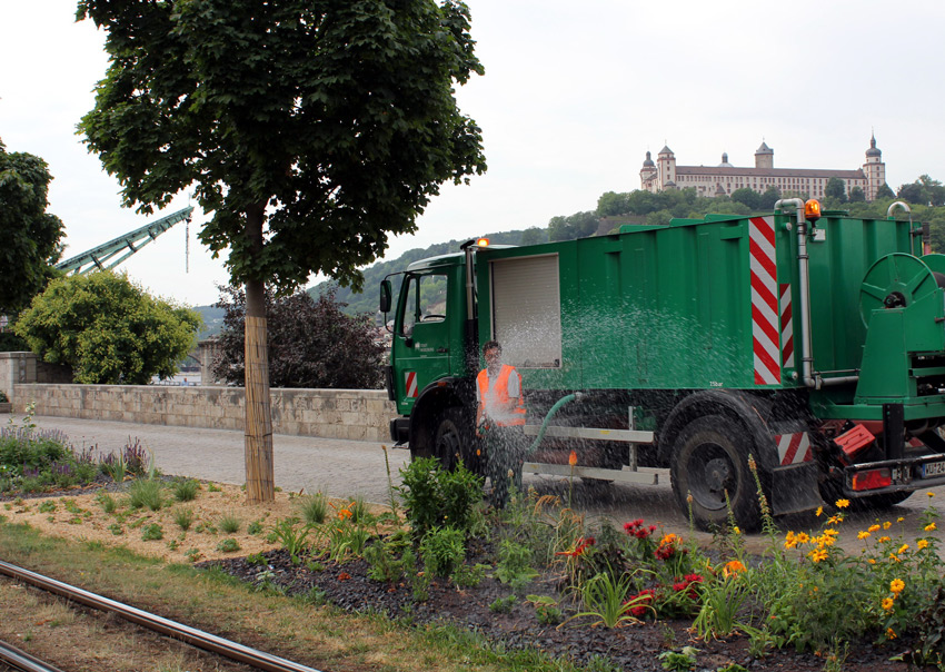 So nah am Main und doch so trocken: Das Gartenamt hilft mit gezielten Einsätzen, dass insbesondere junge Anpflanzungen die niederschlagsarmen Sommermonate gut überstehen. (Foto: Georg Wagenbrenner)