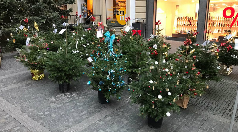 Weihnachtsbäume helfen Tierheim