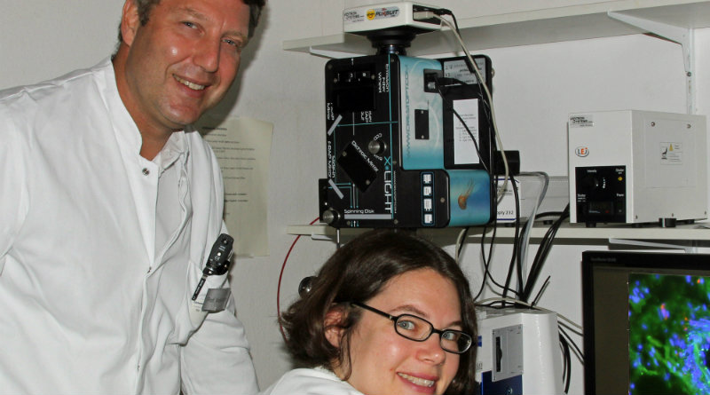 Uni Würzburg: Parkinson-Früherkennung durch Hauttest möglich