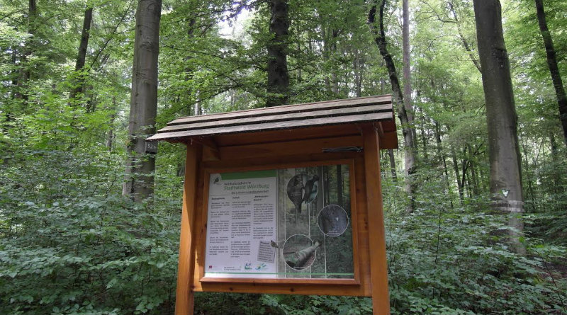 Naturlehrpfade in Würzburg: Naherholung für Wissbegierige