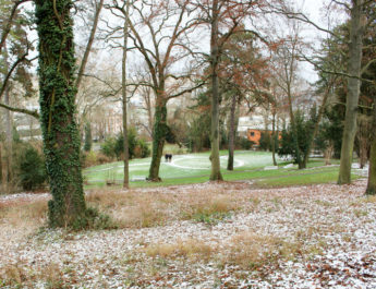 Bürgerbräu: Villengarten aus Dornröschenschlaf geweckt