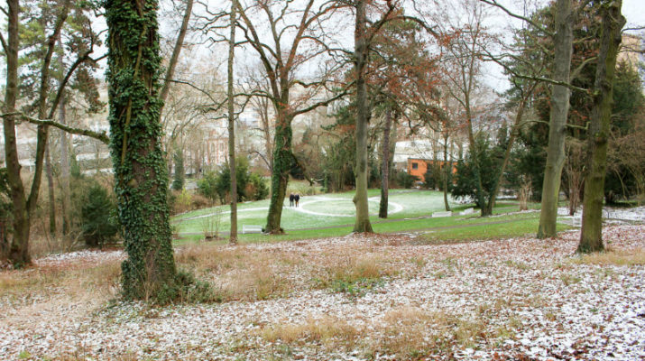 Bürgerbräu: Villengarten aus Dornröschenschlaf geweckt