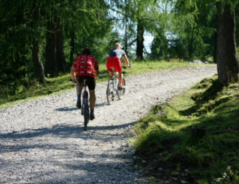 Mountainbiker auf der Strecke
