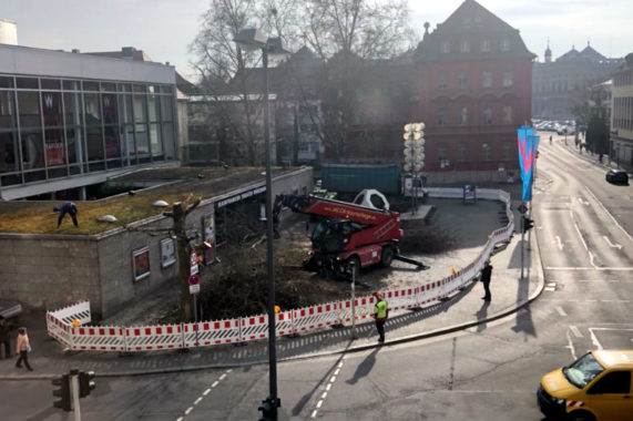 Bäume vor dem Mainfranken Theater wurden gefällt