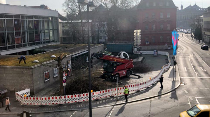 Bäume vor dem Mainfranken Theater wurden gefällt