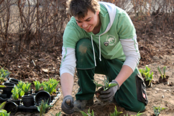 Endspurt auf dem Landesgartenschaugelände