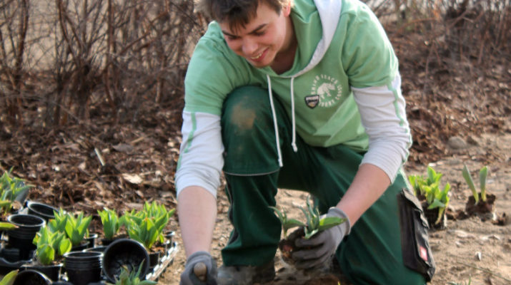 Endspurt auf dem Landesgartenschaugelände