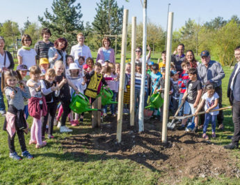 Grundschule Heuchelhof: Ein Baum für Syrien