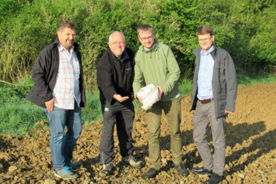 7.000 Quadratmeter neue Blühflächen im Stadtgebiet