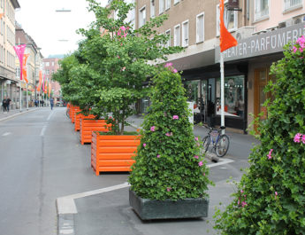 70 Blumenpyramiden in der Innenstad