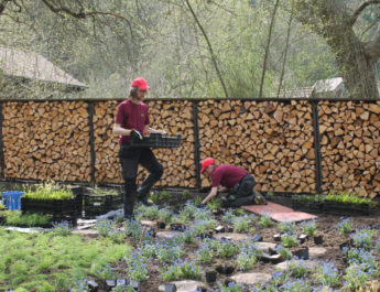 Umeå-Garten ist eröffnet