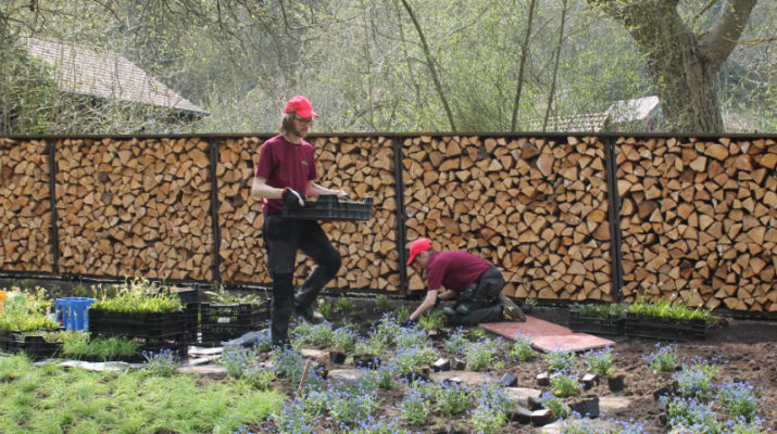 Umeå-Garten ist eröffnet