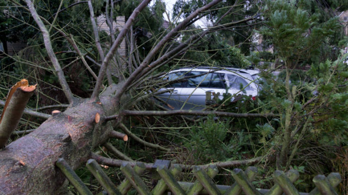 Symbolbild Sturm (Foto: Bernd-Kasper / Pixelio)