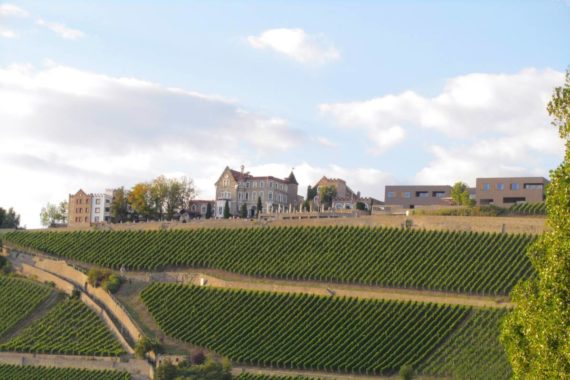 Hotel Schloss Steinburg (Foto: Frau Fischer)