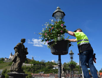 Würzburgs Innenstadt blüht