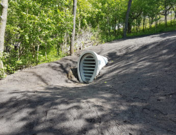 Tunnelsystem auf dem Hubland wird Fledermauswinterquartier