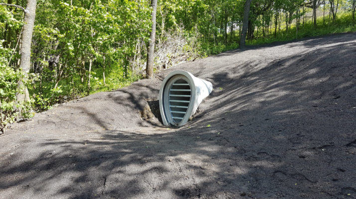 Tunnelsystem auf dem Hubland wird Fledermauswinterquartier