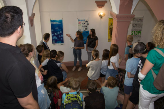 Rathaus sagt Plastik den Kampf an