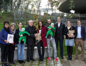 Stadt Würzburg schenkt jedem Neugeborenen einen Baum