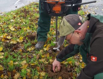 13.000 Blumenzwiebeln für Würzburg - Gartenamt setzt blühende Akzente