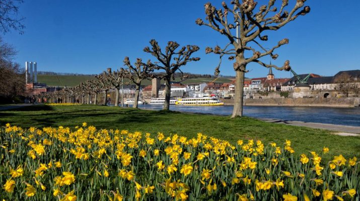 Frühlingsboten für Würzburg