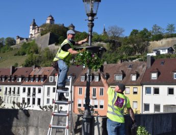 Würzburgs Innenstadt blüht – Flower Baskets 2020